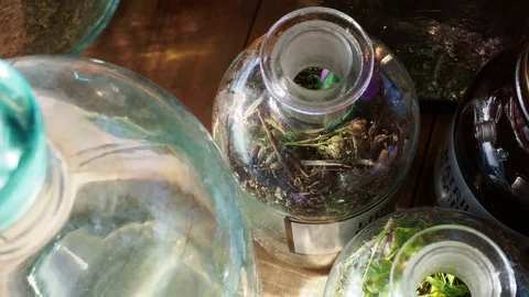 Jars and bottles of herbs Stock Footage 83002320