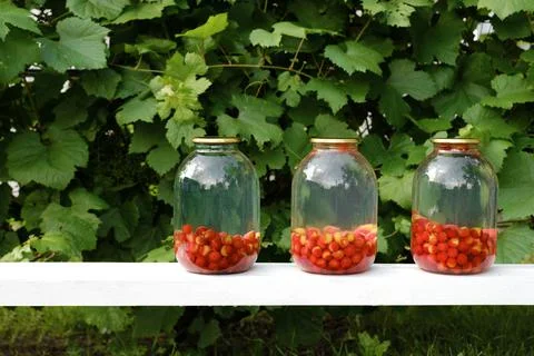Jars of cooked compote are on the table on a natural background of leaves. Stock Photos