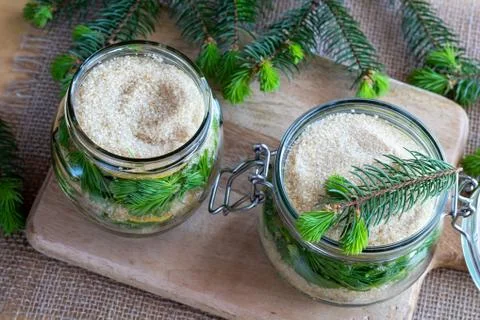 Jars filled with young spruce tips and cane sugar, to prepare homemade syrup Stock Photos