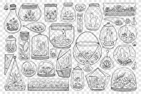 Jars for growing cactus doodle set Stock Illustration