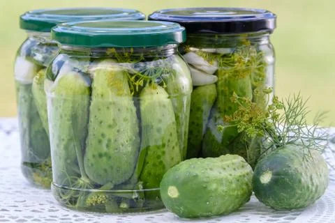 Jars with pickled cucumbers Stock Photos