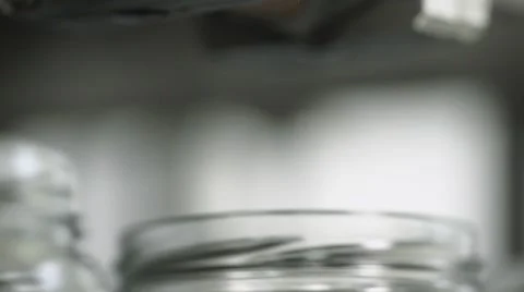 Jars on a production line being filled with syrup Stock Footage 60443033