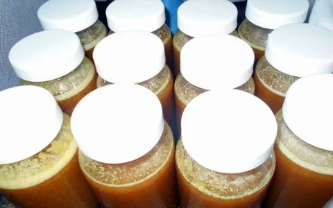 Jars of unpasteurized raw honey ready for labeling Stock Photos