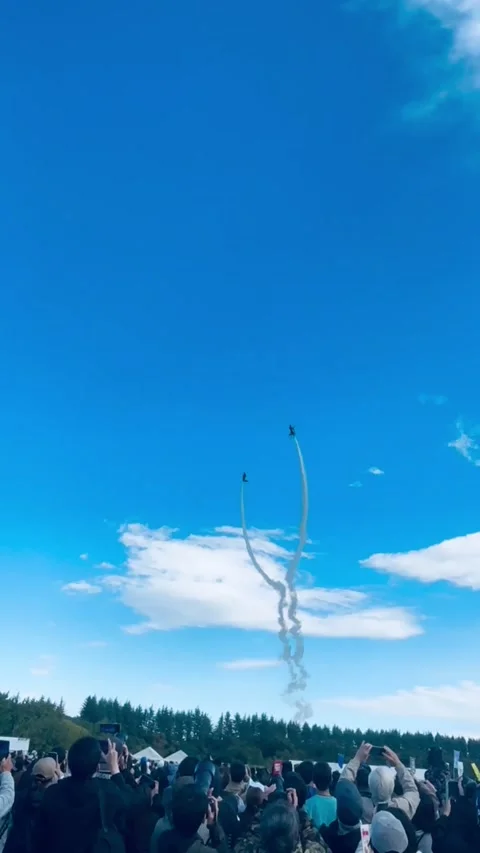 JASDF Blue Impulse Stock Footage 320984498