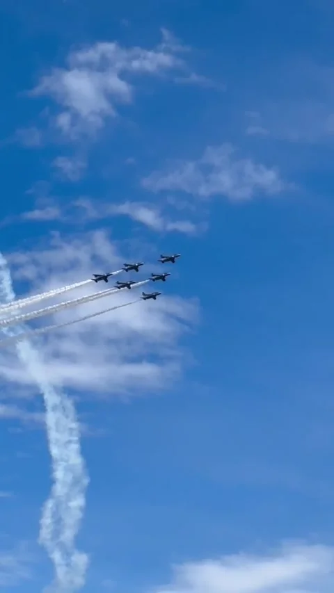 JASDF Blue Impulse Stock Footage 321404967