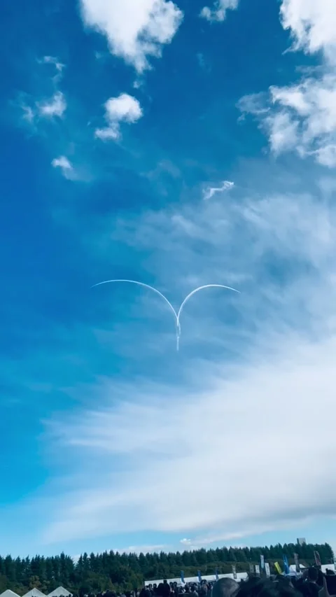 JASDF Blue Impulse Stock Footage 321405462