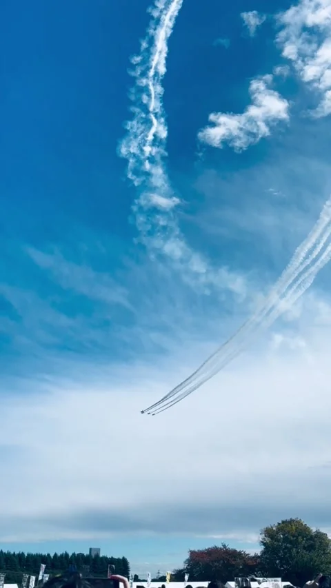 JASDF Blue Impulse Stock Footage 321902198