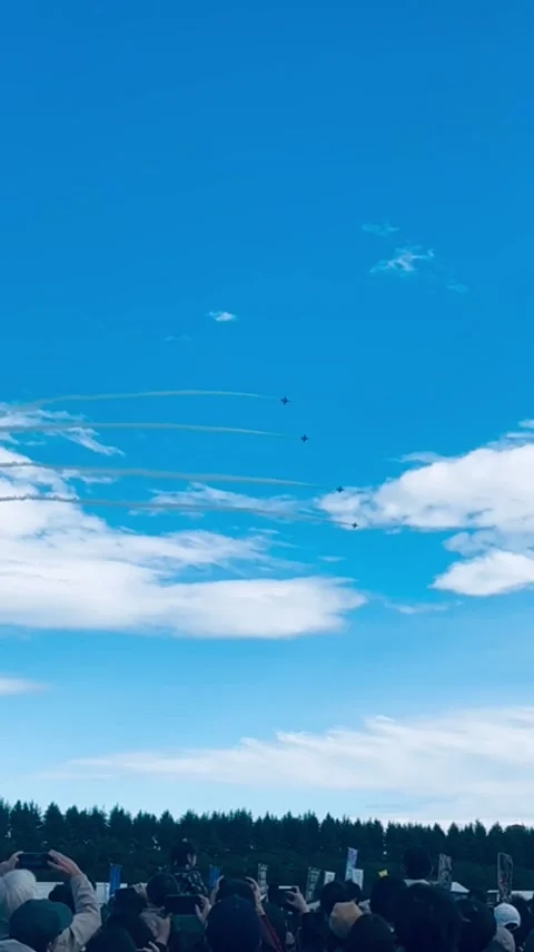 JASDF Blue Impulse Stock Footage 322030482