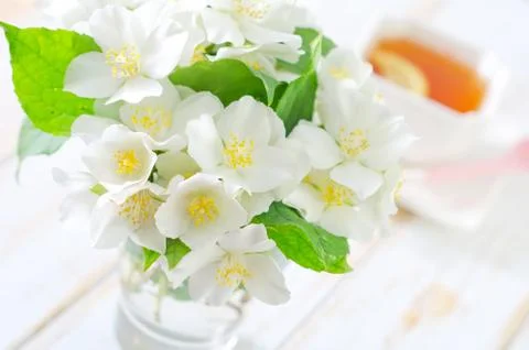 Jasmin tea with lemon Stock Photos