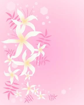 Jasmine background Stock Illustration