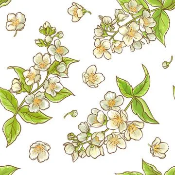Jasmine branch vector pattern Stock Illustration