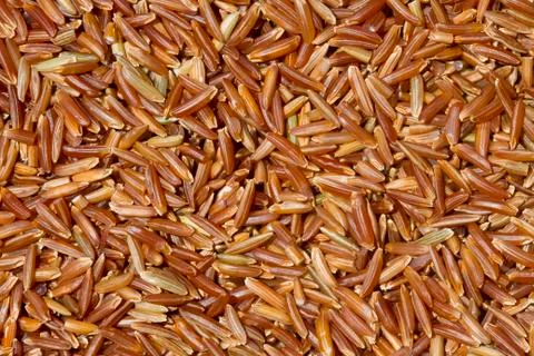 Jasmine Brown Rice Stock Photos