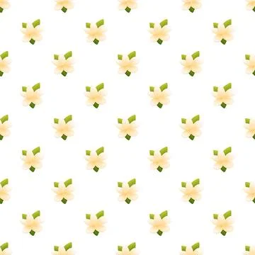 Jasmine flower blossom seamless pattern on white background Stock Illustration
