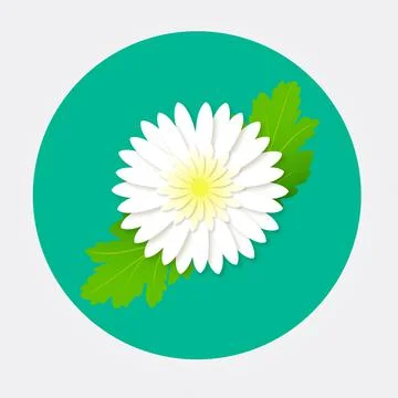 Jasmine flower Illustrazione stock