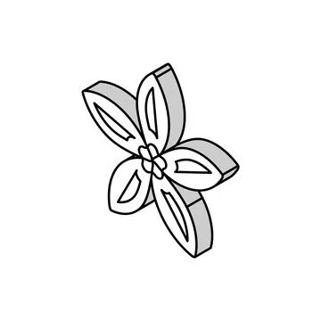 Jasmine flower spring isometric icon vector illustration Stock Illustration