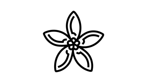 Jasmine flower spring line icon animation Stock Footage 326135354