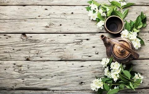 Jasmine flower tea,space for text Stock Photos