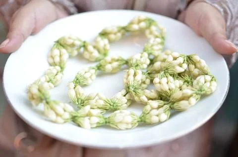Jasmine Flowers Foto stock