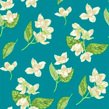 Jasmine flowers  seamless pattern in realistic vector illustration Stock Illustration