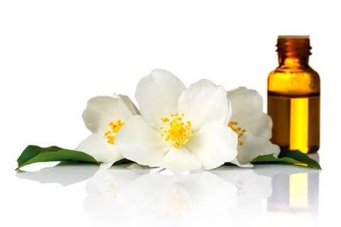 Jasmine oil Stock Photos