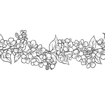 Jasmine Outline Horizontal Seamless Pattern Stock-Illustration