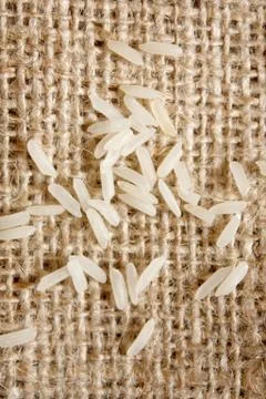 Jasmine Stock Photos