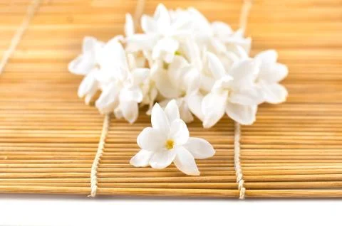Jasmine Stock Photos