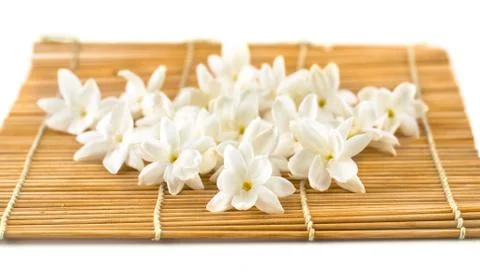Jasmine Stock Photos