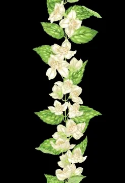 Jasmine seamless decor element in vertical branch Stock Illustration