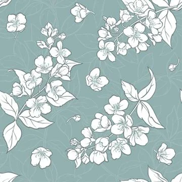 Jasmine seamless pattern Stock Illustration