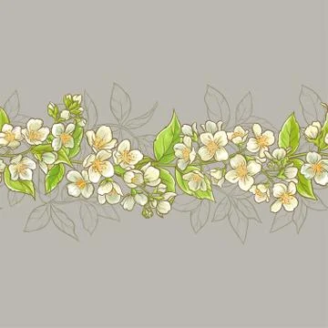 Jasmine seamless pattern Illustrazione stock