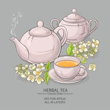 Jasmine tea vector illustration Illustrazione stock
