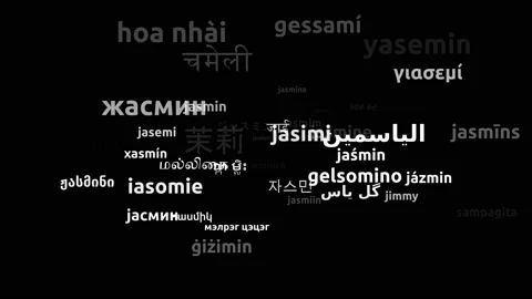 Jasmine Translated in 52 Worldwide Languages Endless Looping 3d Zooming Wordc Stock Footage 145212488