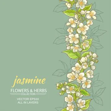Jasmine vector  background Stock Illustration