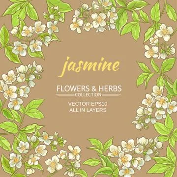 Jasmine vector frame Stock Illustration