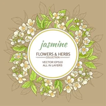 Jasmine vector frame Stock Illustration