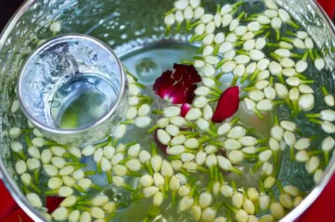 Jasmine Water Stock Photos