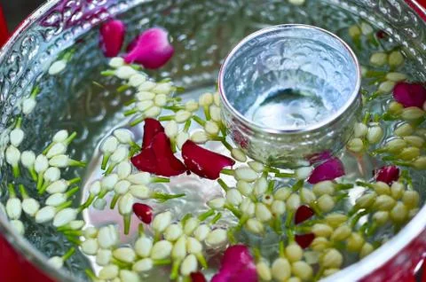 Jasmine Water Stock Photos
