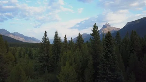 Jasper Banff National Park forest and mountains in reveal / lift drone shot Stock Footage