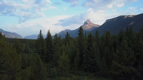 Jasper Banff National Park. Mountain and forest  in reveal / lift drone shot Stock Footage