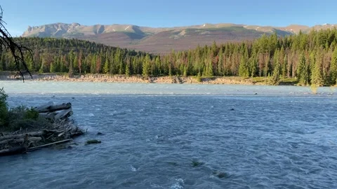 Jasper Canada Athabasca River Flow - 60fps Video stock 141075412
