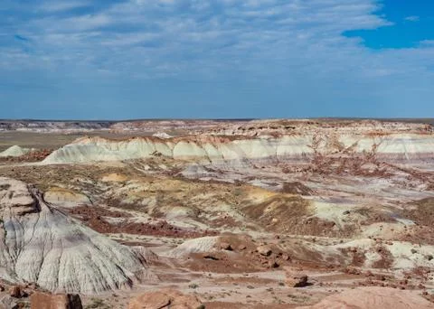 Jasper Forest Stock Photos