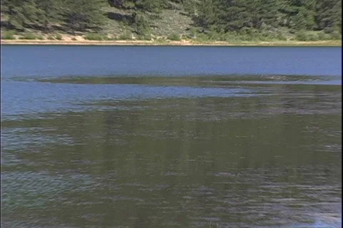 Jasper Lake-zoom Видео 818232
