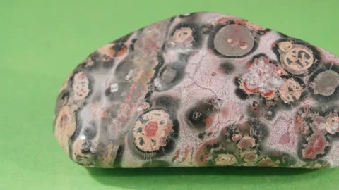 Jasper leopard close-up on a green background. Decorative and ornamental stone Video stock 141219362
