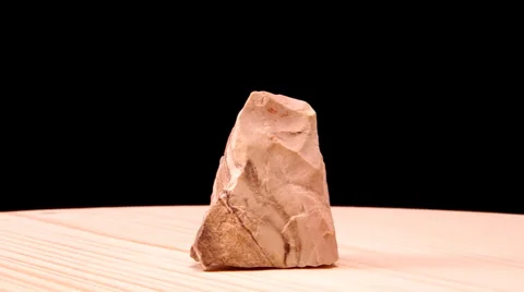 Jasper zebra Stock Footage 32395955