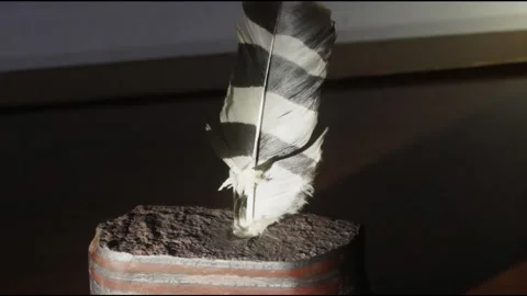 Jaspilite, wagtail feather, pen device, Ukraine. 스톡 동영상 255009986