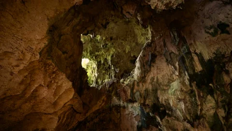 Jatijajar Cave opening, tilt down Stock Footage 87197670