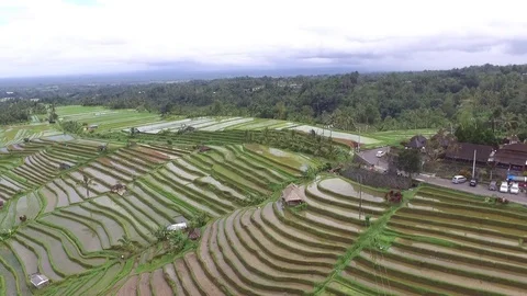 Jatiluwih Terrace Rice Fields Bali Indonesia aerial drone view Video stock 101359853