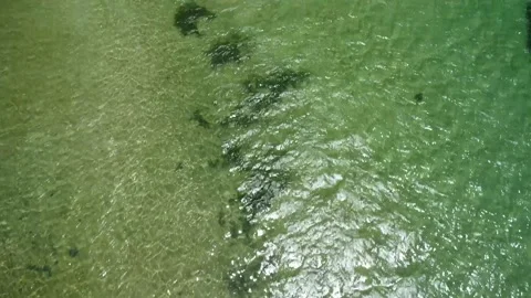 Jauá Beach (aerial image) Stock Footage 229974227