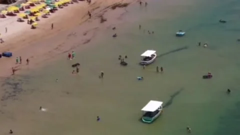 Jauá Beach (aerial image) Stock Footage 231536243